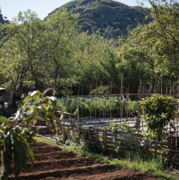 residencia_anoia_galeria_3