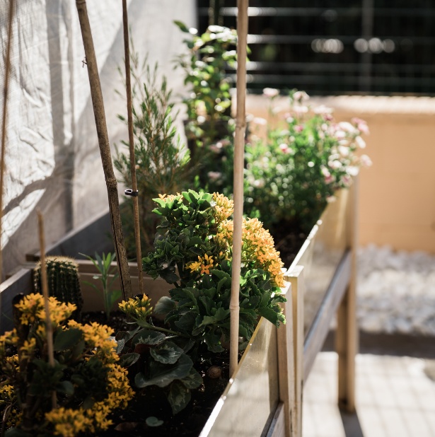 residencia_anoia_galeria_7